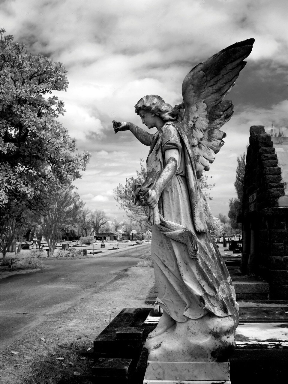 cemetery, magnolia cemetery, mobile